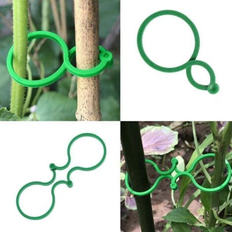Attache Pour Plantes Grimpantes