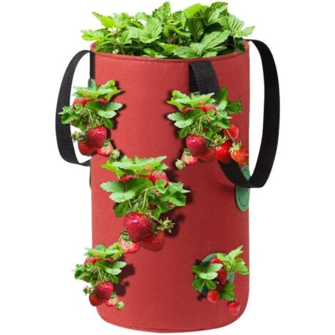 Panier suspendu pour plantes, panier de plantation suspendu pour fraisiers, sac de plantation en feutre à pétales, pot de fleurs épais, fournitures de jardin (Couleur : Rouge)