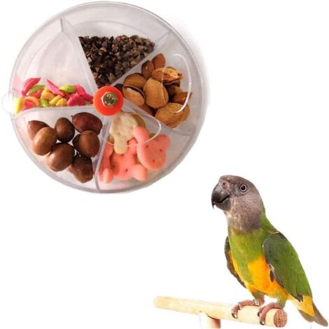 Jouet Rotatif pour Perroquet, Mangeoire Rotative pour Perroquet, Mangeoire à Oiseaux (1/5)
