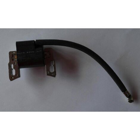 Bobine d'allumage Briggs & Stratton 797040, bobine d'allumage haute tension (1/2)