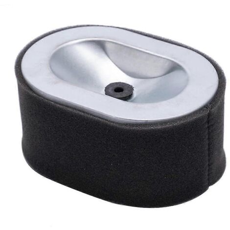 Filtre à air de remplacement pour générateur - Compatible avec les moteurs diesel L90 L100 186F (11465012590) (1/5)