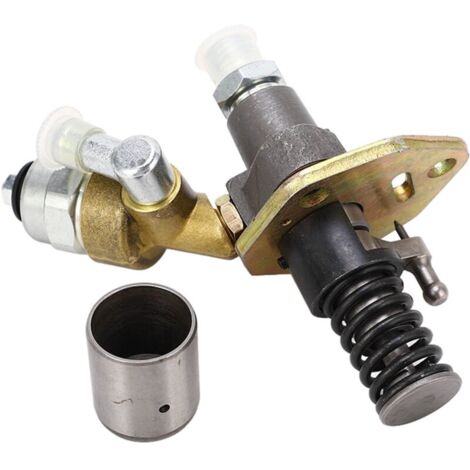 Pompe d'injection de carburant 186FA L100N monocylindre refroidi par Air générateur Diesel injecteur de carburant 12V-VSIAISV