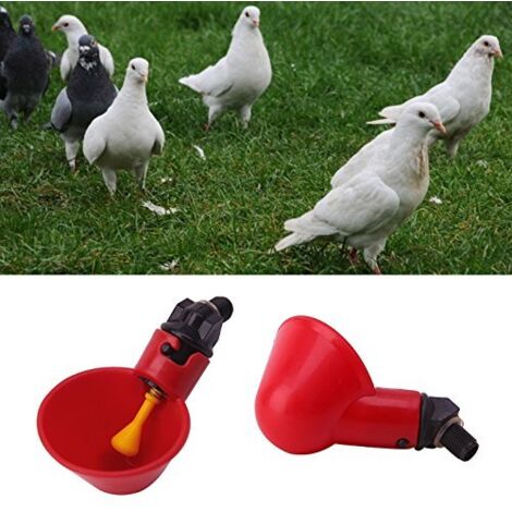 10 Pièces Automatique pour Volaille Tasses à Boire De l'eau De Volaille Mangeoire à Oiseaux Abreuvoir en Plastique Automatique pour Poulet Poule Poulailler Poulailler Arc d'alimentation