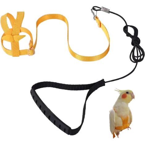 Harnais réglable pour Perroquet Laisse pour Animal Domestique Corde Anti-Morsure Sangle élastique pour Pigeon, Psittacus erithacus, Eclectus roratus, Cacatua galerita, Ara rouge, Big Cacatua galerita(
