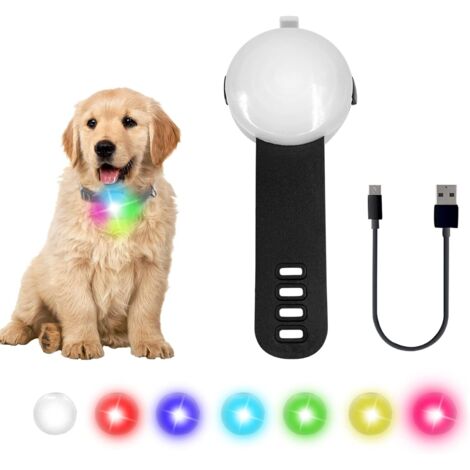 Collier Lumineux Chien LED Pendentif Lampe Chien led Rechargeable étanche 4 modes de changement de couleur réglable sur la laisse de collier pour la marche nocturne, la course, le camping, le cyclisme