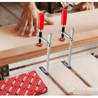 Lot de 2 serre joint rapide type Festool FZ HZ160 pinces à rail de guidage - Bricolage
