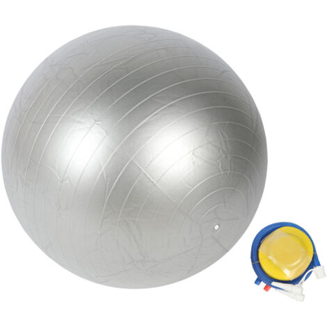 Ballon d'exercice MD Buddy 55 cm Rose avec pompe Ballon d'exercice MD Buddy 55 cm Rose avec pompe
