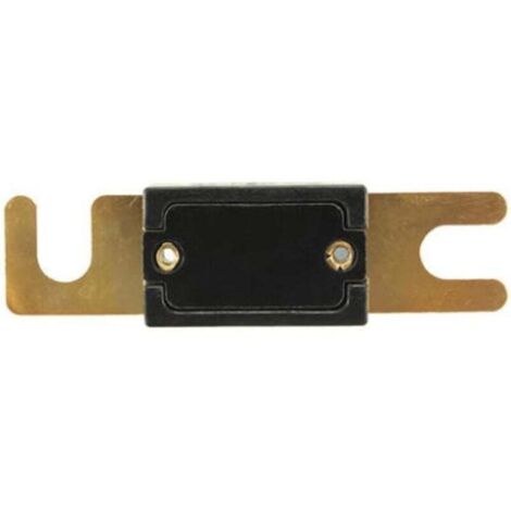 Lot De 2 Fusibles ANL Plaqués Or 60A - Pour Installation Audio Voiture, Haute Puissance, Protection Contre Les Surintensités