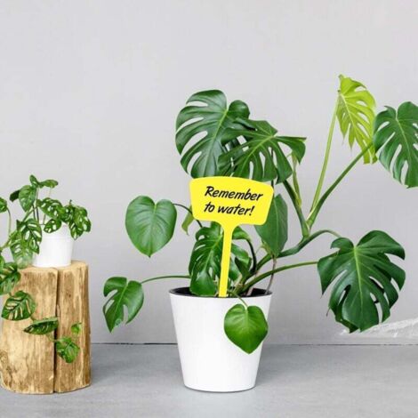 étiquettes De Jardin Imperméable Plastique Garden Etiquettes Signes De Plante T Forme Tags Etiquettes Plantes Label Pour Graine Blanc 100 Pieces 92541293