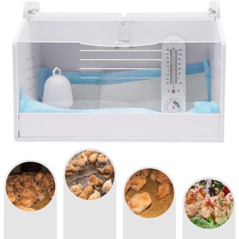 ACROSSPART Kükenaufzuchtbox Mit Wärmelampe & Thermometer – 48x30x30cm, Für 20 Küken, Geflügel & Reptilien