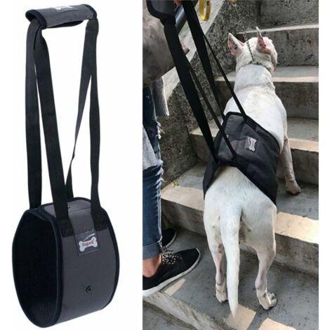 Harnais de Levage de Chien, Harnais Auxiliaire de Marche de Jambe Arrière d'Animal Familier, Harnais Réglable pour Chien - Aide à la Mobilité et à la Rééducation, S (1/5)