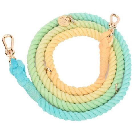 Laisse de corde double pour chien pour deux chiens Laisse double pour animal de compagnie Corde tressée ombrée robuste et confortable pour petits chiens de taille moyenne et grande, 210 cm (1/5)