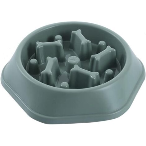 Gamelle d'alimentation Lente pour Chien, Gamelles de Base pour Chaton, Bol de Nourriture Lente pour Chat, Animaux Vert-Ensoleillé (1/5)