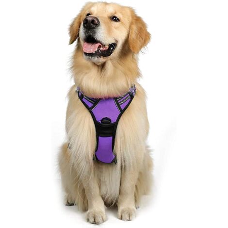 Harnais Chien L Arnais Violet Anti Traction Réfléchissant Gilet Réglable pour Chien Grand Taille, Attache Devant Crochet de Laisse pour Randonné Trajet Voiture, American Staff, Border Collie-Ensoleill