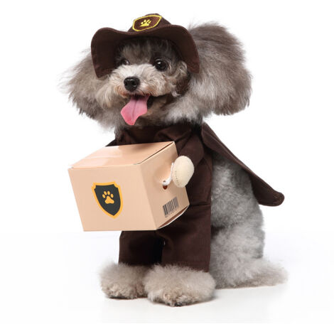 Chien Stand Up Vêtements pour chiens drôles Stand Up Dress Up(porter S)