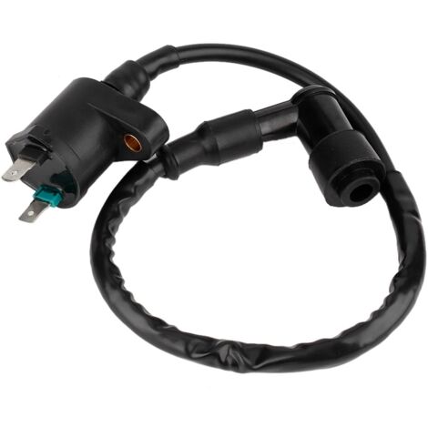 GARRYFIZH Bobine d'allumage GY6125 compatible avec les moteurs de moto 50cc, 150cc et 250cc.
