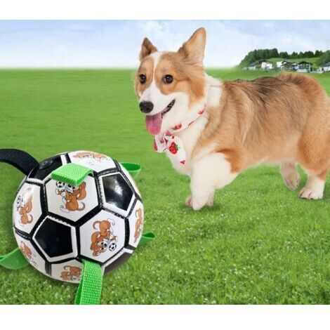 Boule indestructible pour chien boule indestructible pour chien boule interactive pour chien jouant à l'intérieur et à l'extérieur, envoyant une pompe à air, (version noire) bande dessinée verte