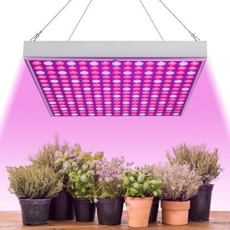 Lampe de culture LED 45 W, spectre complet, 225 LED (lumière rouge et bleue), idéale pour la croissance et la germination des plantes en culture hydroponique.