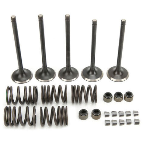 Kit de Soupape D'échappement D'admission de Cylindre en Acier, Remplacement du Kit de Soupape D'échappement D'admission de Culasse pour Grizzly 660 YFM660F 4WD 2002‑2008 (1/4)