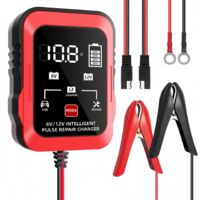 6V 12V RougeChargeur 6V/12V pour batteries de voiture et de moto, compatible avec les batteries au plomb-acide