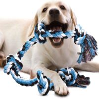 Un jouet en corde robuste et durable, conçu spécialement pour les chiens forts et de grande taille. D'une longueur de 90 cm et comportant 5 nœuds, il convient aux chiens qui aiment mâcher. Un jouet in