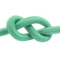 DQ-PP Sandow Corde Élastique 10mm 100m Vert