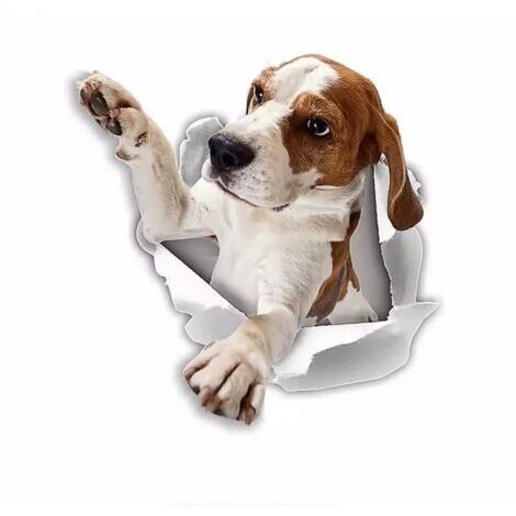 Autocollants pour chien 3D - 2 Pack - Atteindre Stickers Beagle Pour mur, réfrigérateur, toilettes et plus d'autocollants Beagle 25 x 25CM (1/4)