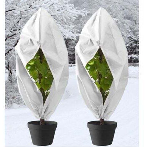 Housse Hivernage Plantes THAKOI 80x120 Cm - Non-tissé 85 G/m² Résistant UV - Avec Zip Et Cordon De Serrage - Pour Olivier, Palmier, Arbuste