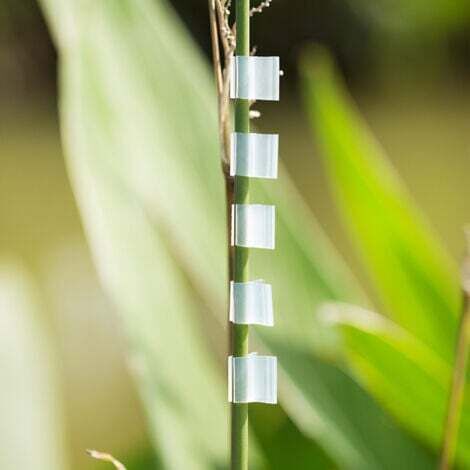 100 pcs Clips de greffage de plantes spéciales - Pince de greffage de plantation de tomates Clip de greffage d'aubergine - Clips de support en plastique à ressort