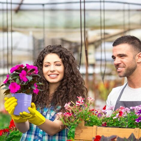 Funtabee Lot De 2 Pots De Fleurs à Suspendre Modernes Du Milieu Du Siècle En Métal Noir à Suspendre Au Mur à L'intérieur, Pots De Fleurs/pots De