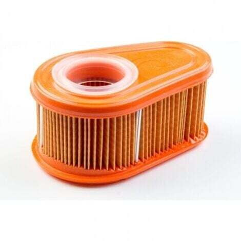 Filtre à air original Briggs et Stratton 792038, accessoires pour machines de jardin (1/5)