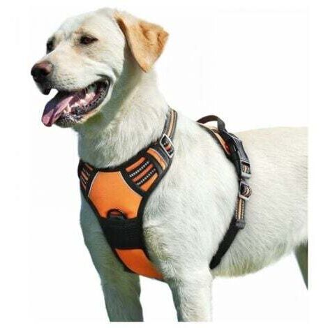 Orange, Harnais Chien, Harnais Anti Taraction pour Chien Réfléchissant Réglable, Facile à Mettre, avec Poignée Contrôle, Arnet pour Chien Respirant, Durable, Harnais pour Chien Moyen et Grand，M (1/5)