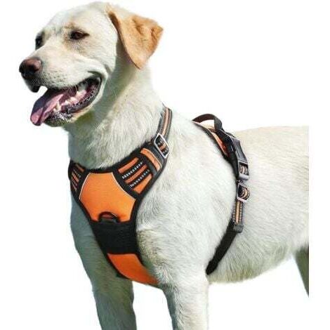 Orange, L , Harnais Chien, Harnais Anti Traction pour Chien Réfléchissant Réglable, Facile à Mettre, avec Poignée Contrôle, Arnet pour Chien Respirant, Durable, Harnais pour Chien Moyen et Grand (1/5)