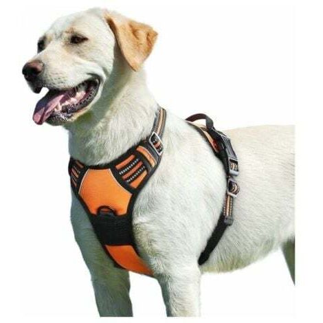 Orange,Harnais Chien, Harnais Anti Traction pour Chien Réfléchissant Réglable, Facile à Mettre, avec Poignée Contrôle, Arnet pour Chien Respirant, Durable, Harnais pour Chien Moyen et Grand,XL (1/5)
