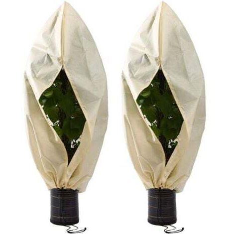 2 Pièces Housse Hivernage pour Plantes, Couverture d'hiver Végétale Non Tissée, Housse Hivernage Plante, Housse D'Hivernage, pour Tomates, Figuiers, Agrumes, Petits Arbustes60×80cm--TRIMEC (1/5)