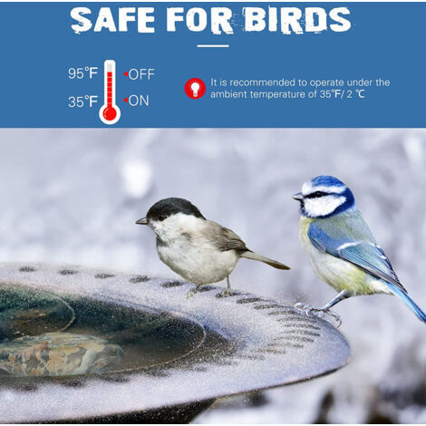 Bain D'oiseaux Extérieur En Fer Forgé Sur Pied - Décoration De Jardin Résistante, Distributeur D'eau