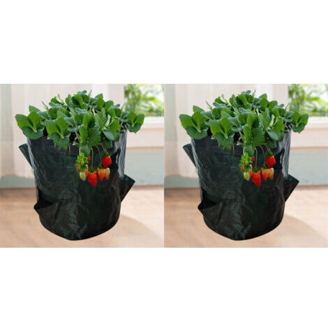 Sacs de Culture pour Fraise, 2PCS 18L/5 Gallons Sac de Legumes, Tissu Non-tissé Sac de Plantation avec Fenêtre, Sac de Legumes de Jardin (23X28CM (4 ports))