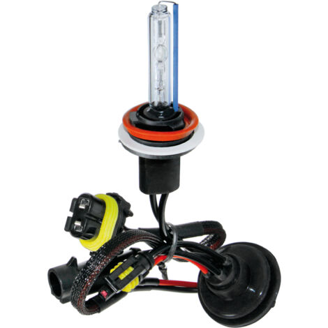 12/24V Lampadina HID Xenon 6.000K - H11 - 1 pz - Scatola