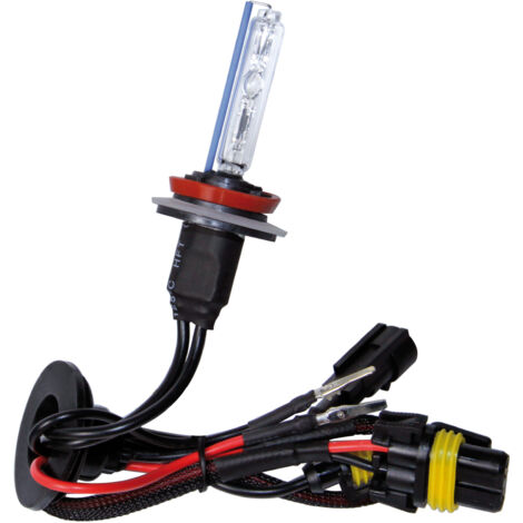 12/24V Lampadina HID Xenon 8.000K - H9 - 1 pz - Scatola