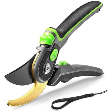 Cisailles de Jardin Professionnelles - Lames Acier Inoxydable - Pour Plantes, Rosiers, Vignes - Outil Bonsaï