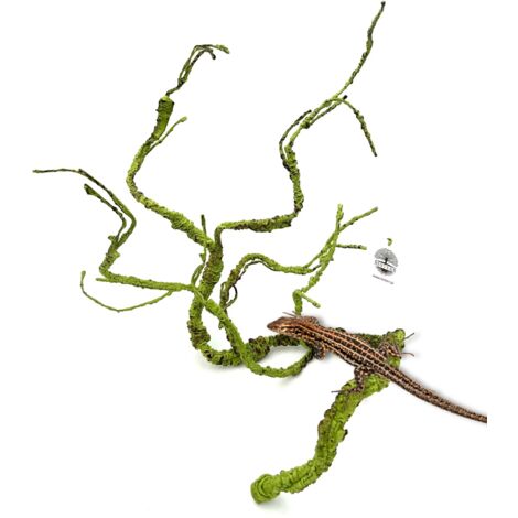 BioBranch Grüne Liane M für ein 115 cm Terrarium