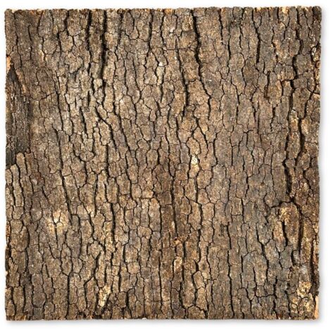 BioVirgin Cork Background Dark 30x30cm Korkrückwand für Terrarien