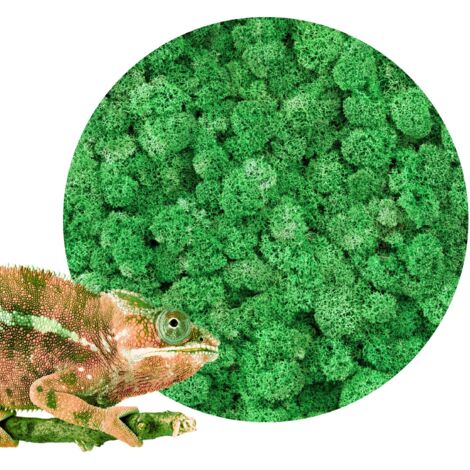 BioIce Moos Dunkelgrün 25g