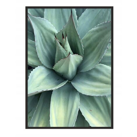 Bildplakat im Rahmen 53x73 cm Blätter P1035 (1/4)