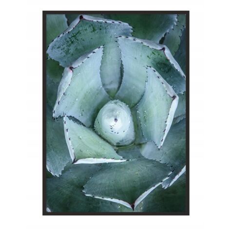 Bildplakat im Rahmen 53x73 cm Blätter P1034 (1/4)