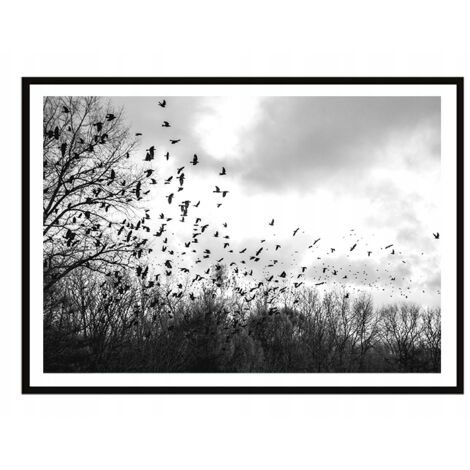 BILDERRAHMEN FÜR PLAKATE 53x73 cm Vögel P1996