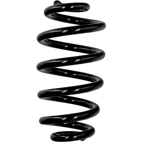 Eibach Serienfeder ERL Audi/Seat hinten R10515 (1/2)