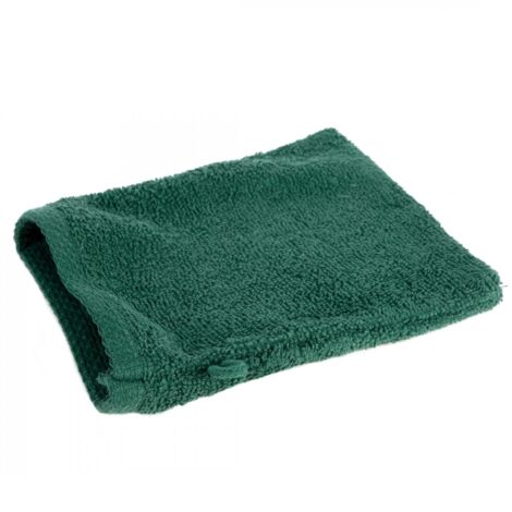 EUROFIRANY Waschhandschuh aus glatter Baumwolle, 16 x 21 cm, dunkelgrün