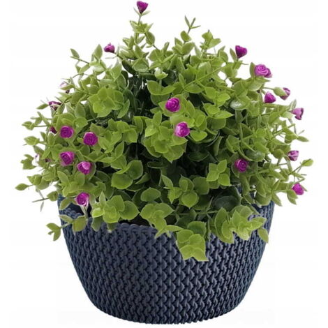 SPLOFY runder Kunststoff-Schale-Blumentopf 23,6 cm anthrazit (1/2)