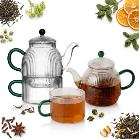 Wasserkocher mit Teesieb 0,5 l mit Tasse 250 ml, Tee-Set aus Glas